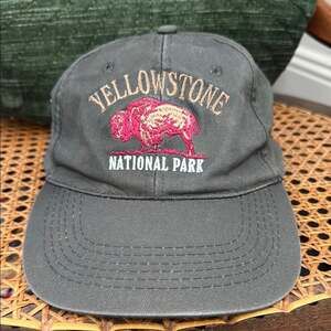 Ace Yellowstone National Park Adjustable Baseball Cap Hat
